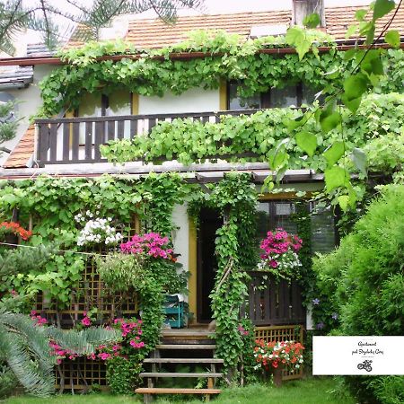 Apartament Pod Strzelecka Gora Jelenia Gora Bagian luar foto